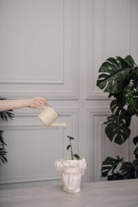 fa21123780007f8c8115d743796510b8